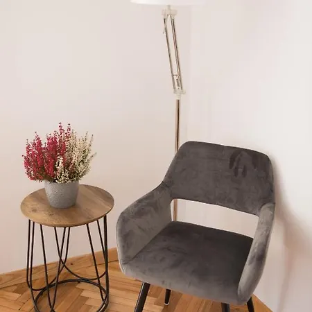 Apartmán Petro Delux Center Kaunas